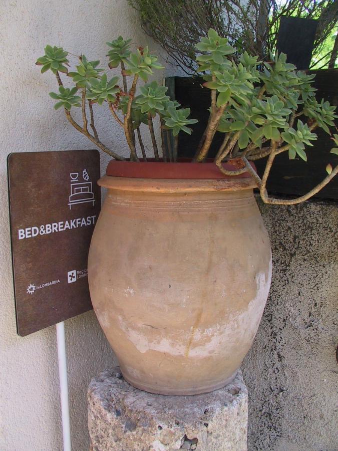 B&B Il Rustico Turate Bagian luar foto